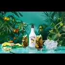 More malibu-original-white-rum-life2.jpg